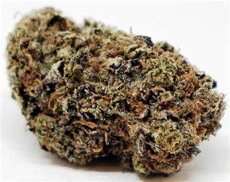 versace weed|Versace Weed Strain Effects & Reviews .